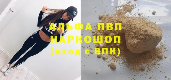 гидра Алексин