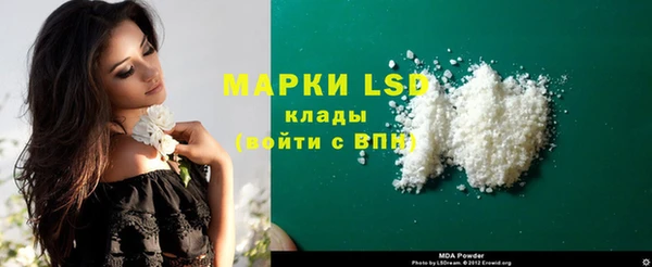 гидра Алексин