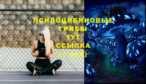 ПСИЛОЦИБИНОВЫЕ ГРИБЫ Алексеевка
