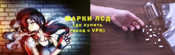 ПСИЛОЦИБИНОВЫЕ ГРИБЫ Алексеевка